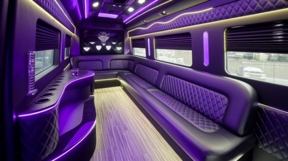 fresno sprinter limo rental inside